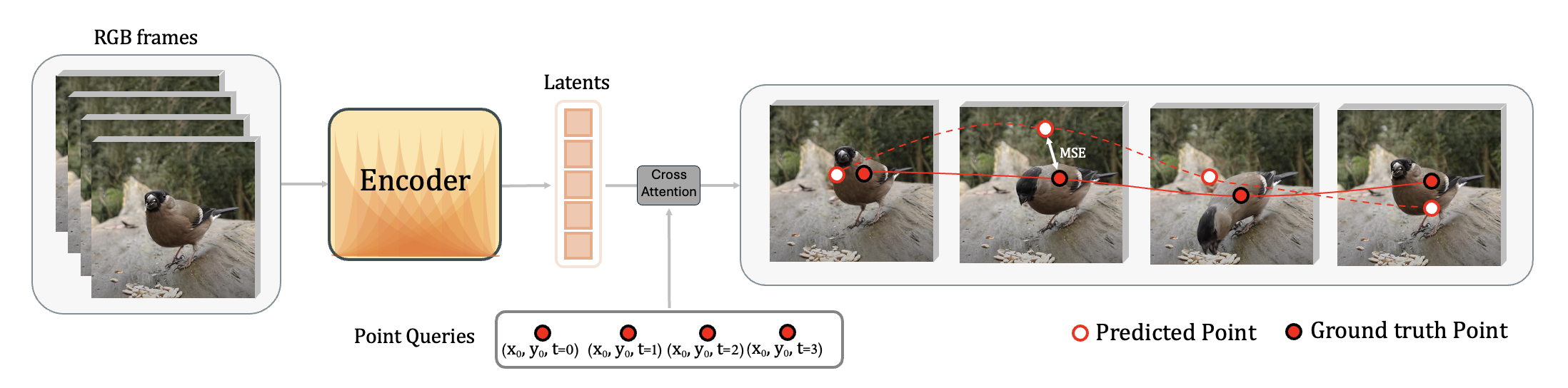 Fine-tuning cross-attention readout